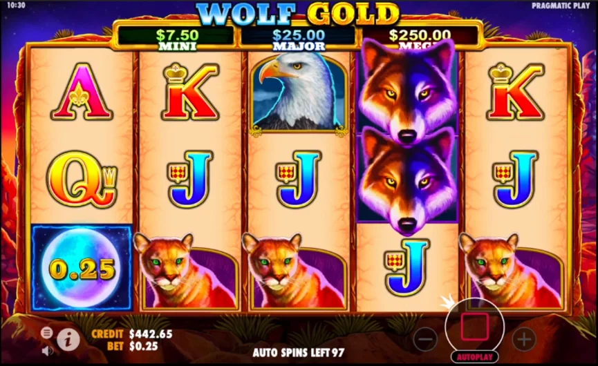 the-most-popular-online-casino-games-among-kiwi-players
