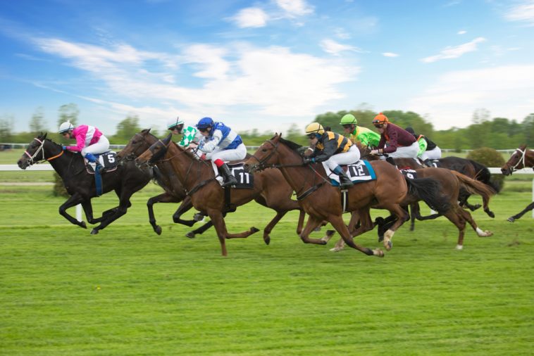 epsom-derby-&-oaks-betting-preview