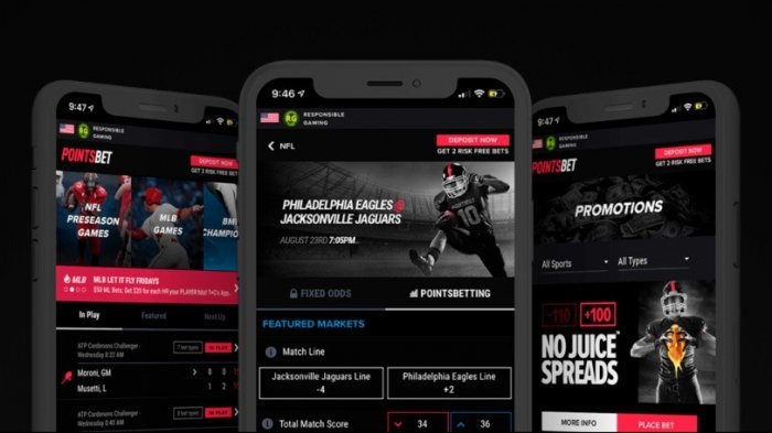 pointsbet-launches-mobile-sports-betting-in-illinois,-four-retail-venues-to-follow