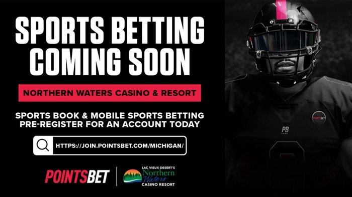 pointsbet-and-northern-waters-casino-set-to-launch-online-sports-betting-in-michigan