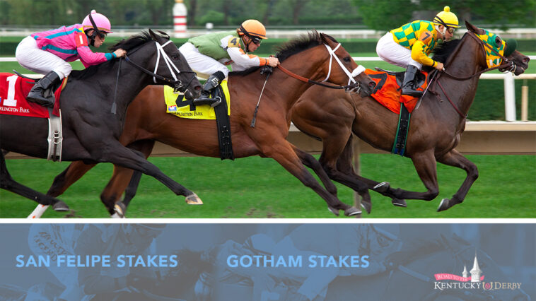 derby-prep-betting-preview-(gotham-and-san-felipe-stakes)