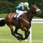 horse-racing:-how-do-the-big-uk-races-compare-to-the-us-events?