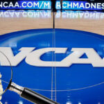 ncaa-to-monitor-march-madness-for-unusual-betting-activity