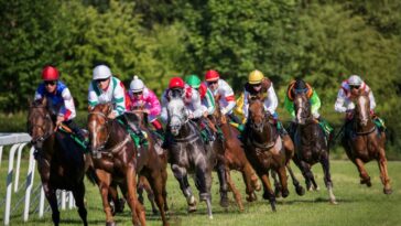 punchestown-racing-tips