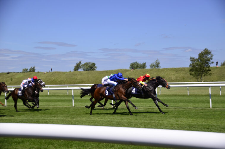 newmarket-and-york-–-friday-racing-tips
