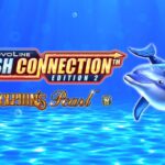 novomatic-introduces-dolphin’s-pearl-video-slot-in-new-multigame