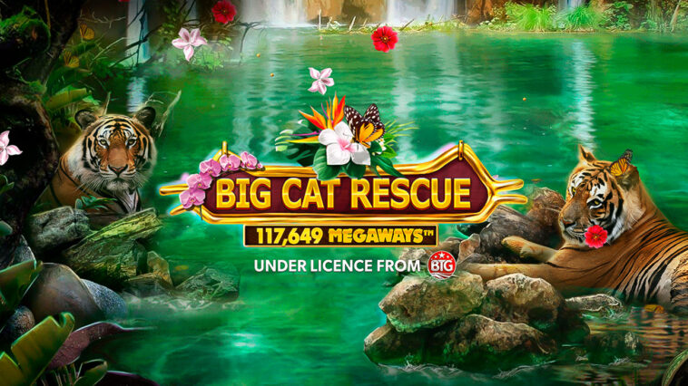 evolution's-red-tiger-releases-new-tiger-king's-carole-baskin-themed-slot-“big-cat-rescue-megaways”