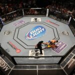 draftkings-to-release-new-iteration-of-gamified-nft-digital-collectibles-focused-on-ufc