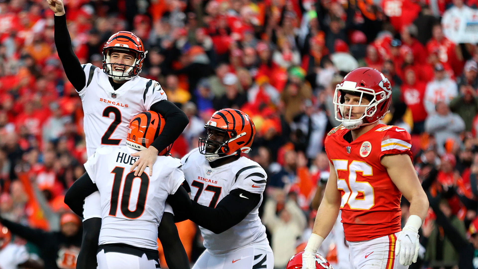 cincinnati-bengals-name-betfred-official-sports-betting-partner-after-applying-for-ohio-license