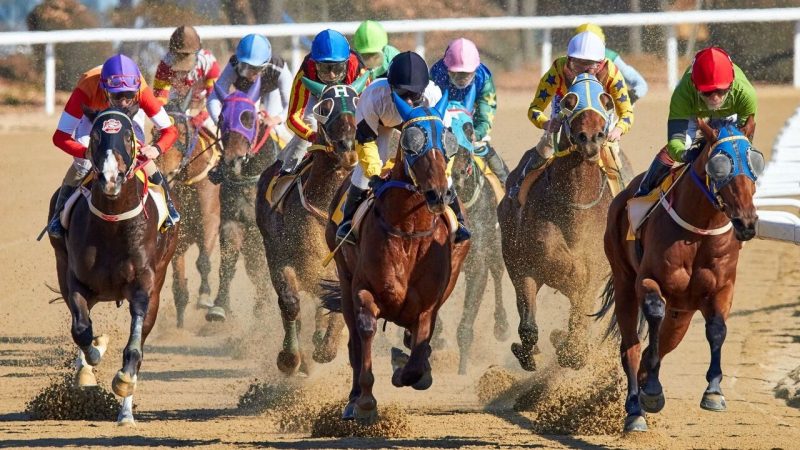 macau-to-end-40-year-horse-racing-legacy-in-april-amid-jockey-club's-financial-struggles