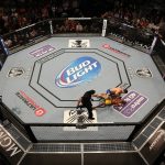 stake-to-enhance-its-ufc-betting-offering-as-the-organization's-official-partner-in-asia