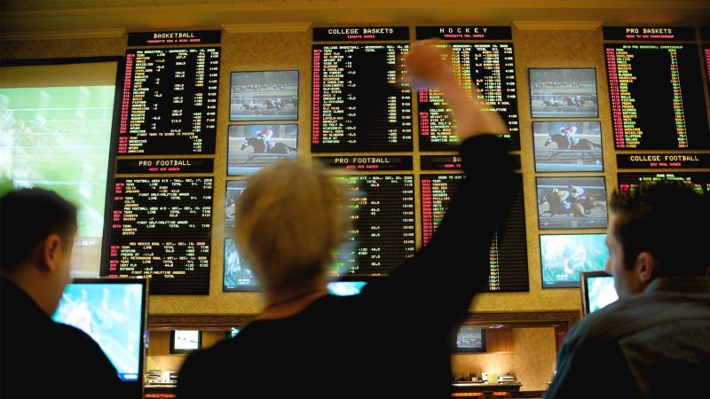 colorado-sees-50.7%-surge-in-january-sports-betting-revenue-despite-modest-increase-in-handle